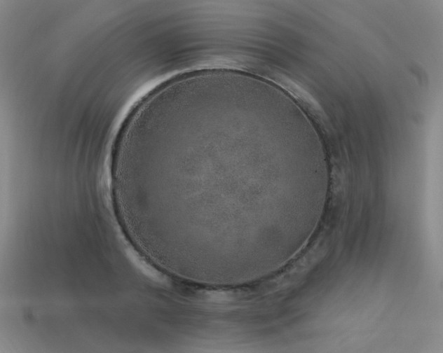 X0000114120792200910051510