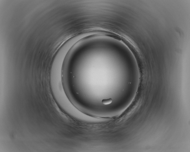 X0000114120793200910051510