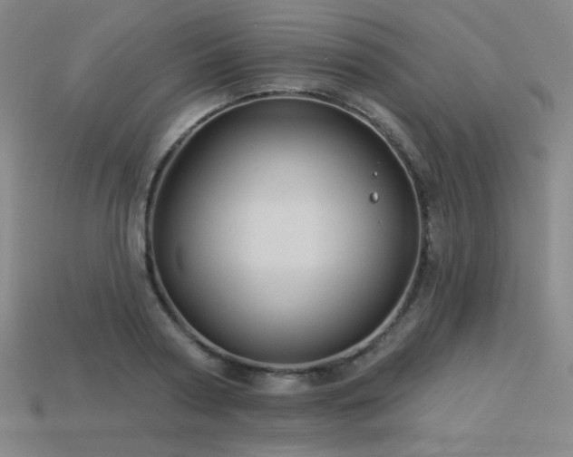 X0000114120794200910051510