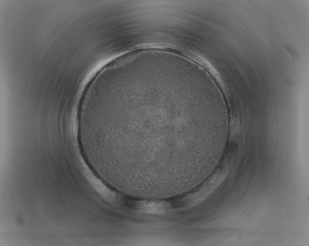 X0000114120795200910051510