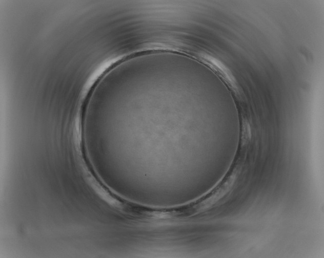 X0000114120796200910051510