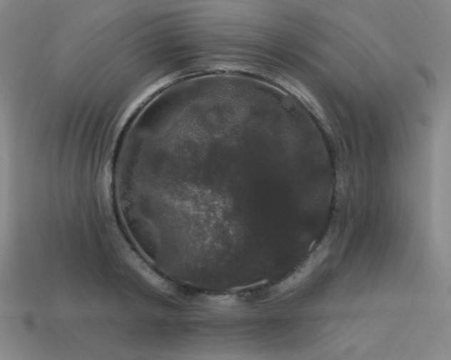 X0000114120798200910051510