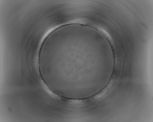 X0000114120800200910051510