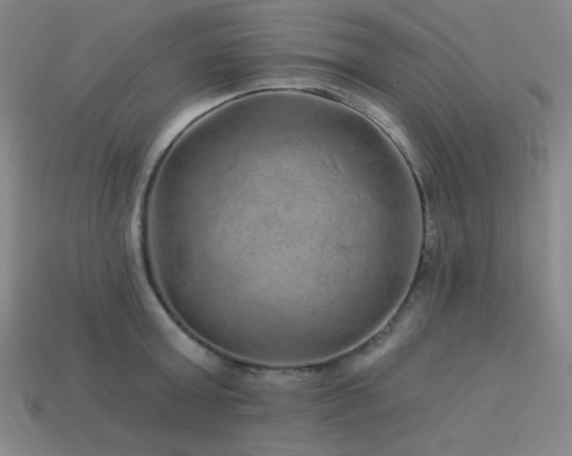 X0000114120803200910051510