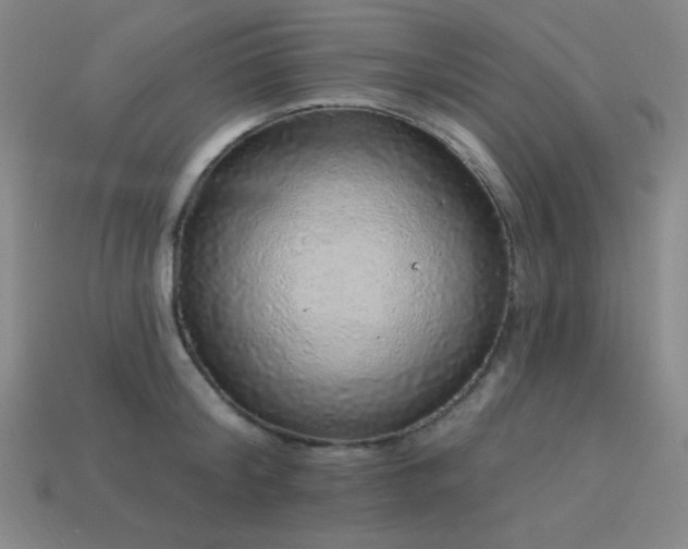 X0000114120804200910051509