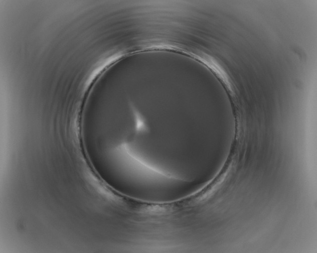 X0000114120806200910051509