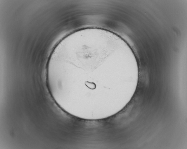 X0000114120807200910051509