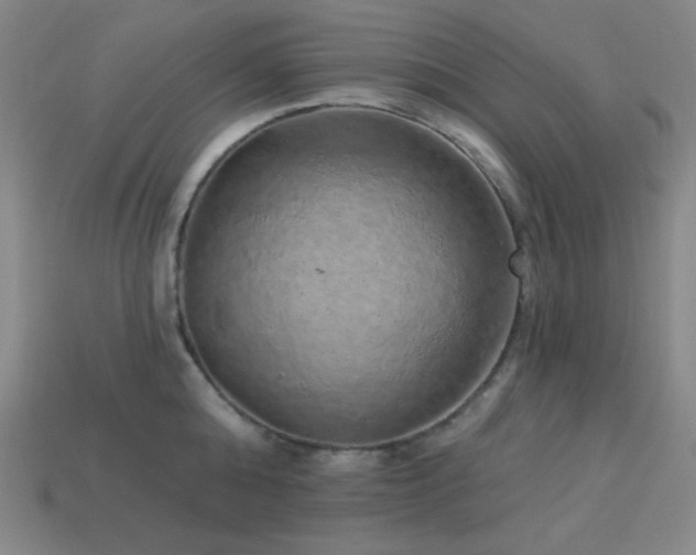 X0000114120808200910051509