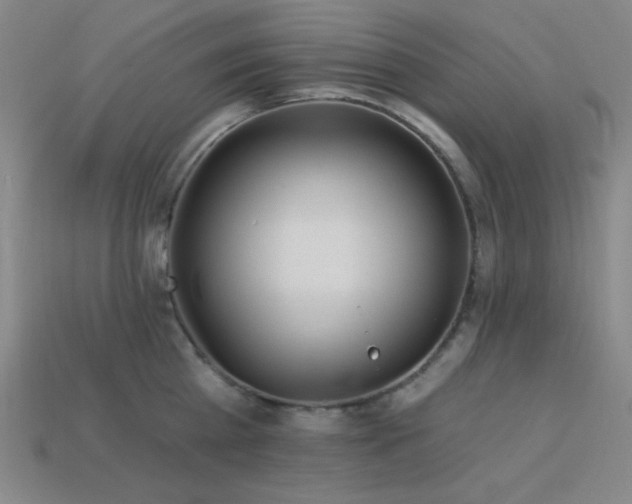 X0000114120809200910051509