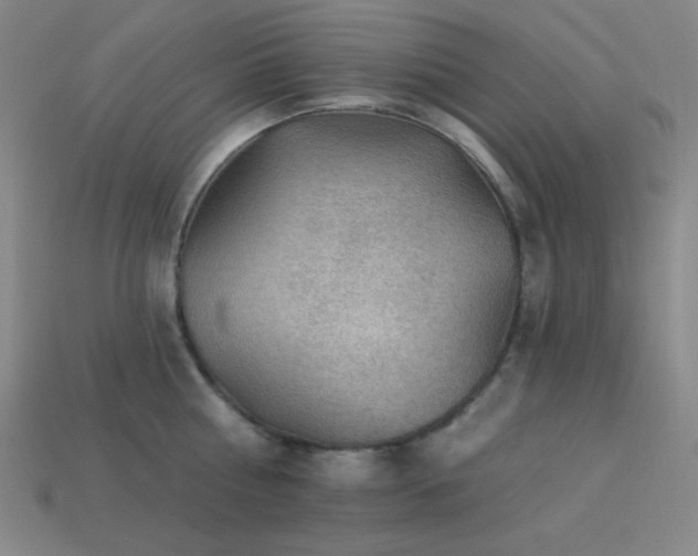 X0000114120810200910051509