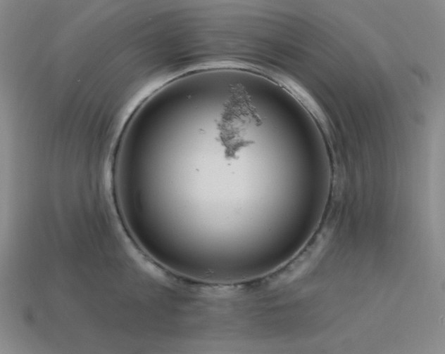 X0000114120813200910051509