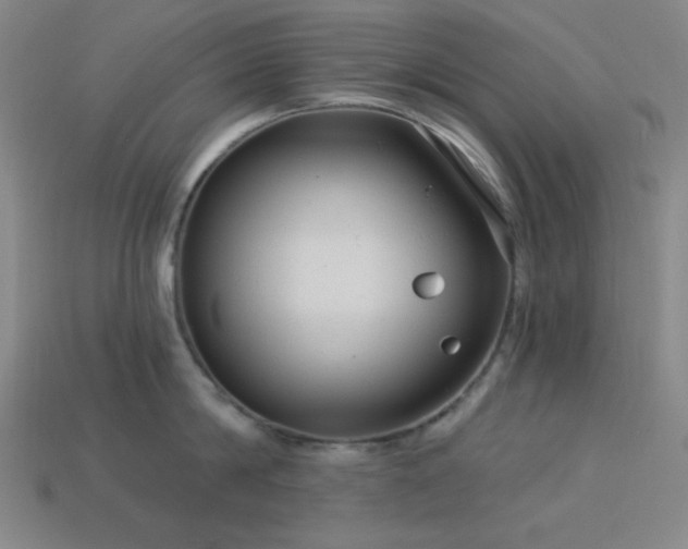 X0000114120814200910051509