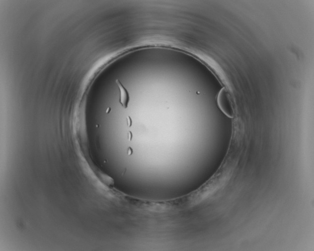 X0000114120815200910051509