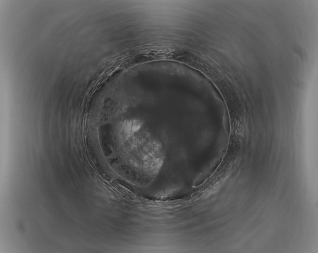 X0000114120818200910051509