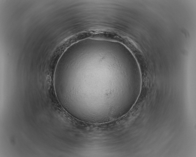 X0000114120821200910051509