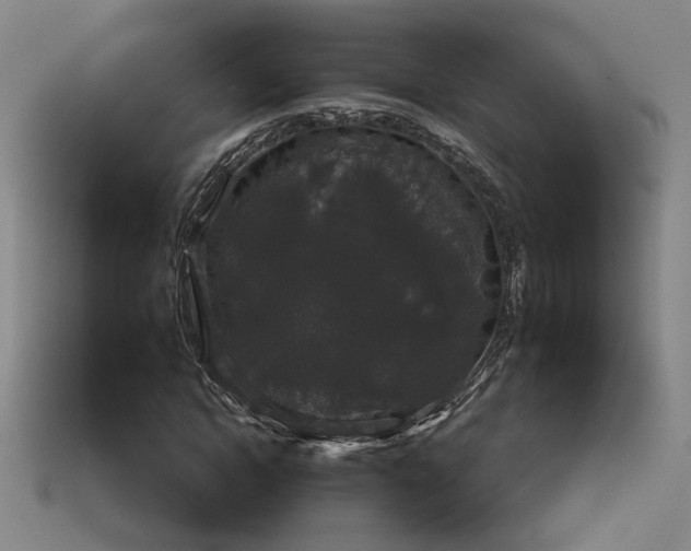 X0000114120822200910051509