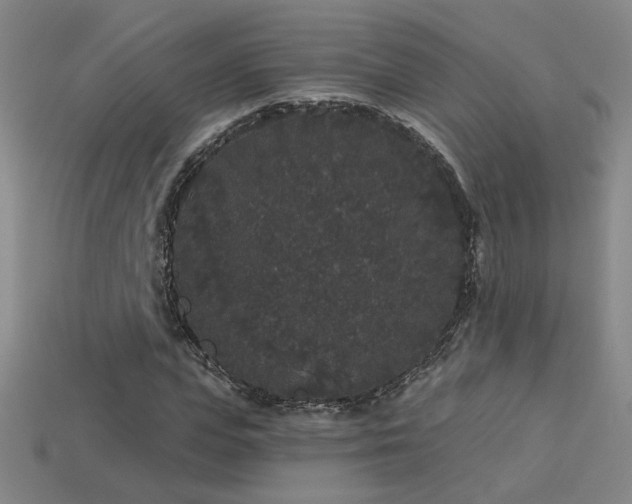 X0000114120823200910051509