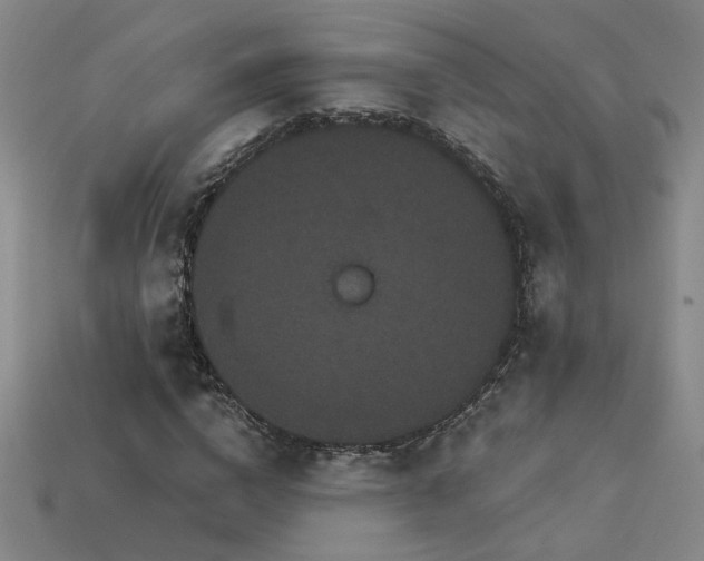 X0000114120824200910051509