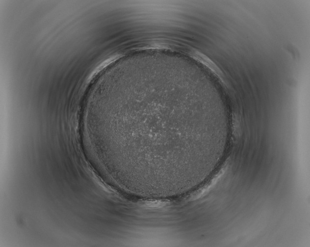 X0000114120826200910051509