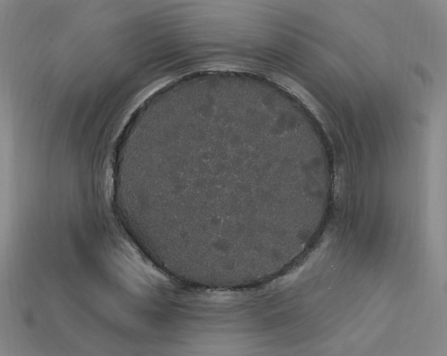 X0000114120829200910051509