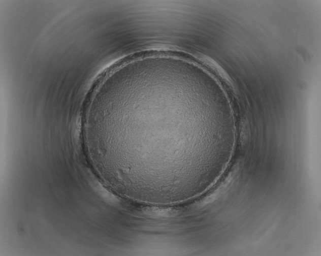 X0000114120831200910051509