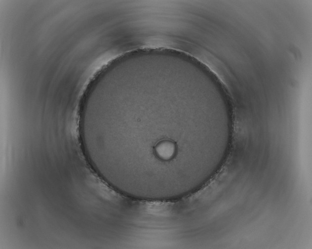 X0000114120832200910051509