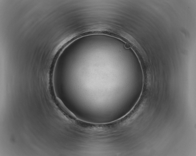 X0000114120834200910051509