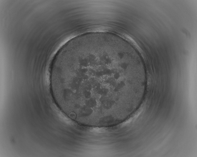 X0000114120835200910051509