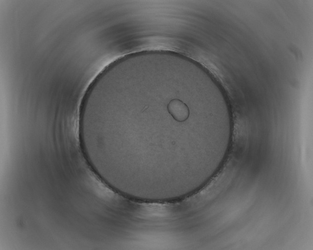 X0000114120836200910051509