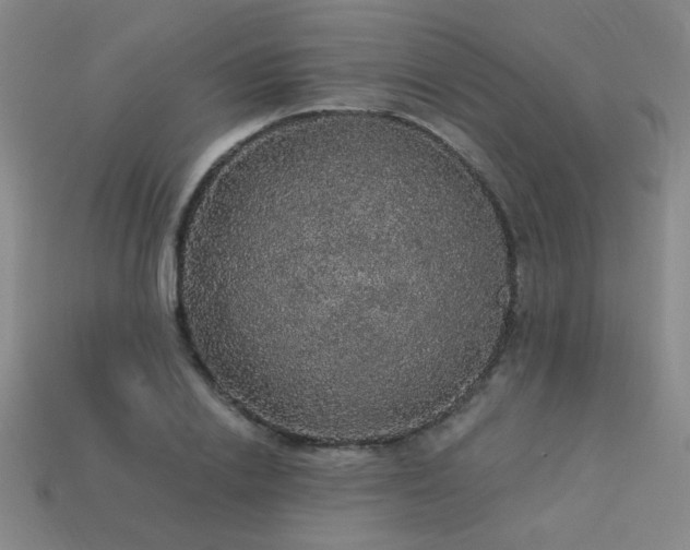 X0000114120838200910051509