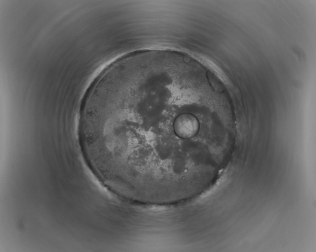 X0000114120839200910051509