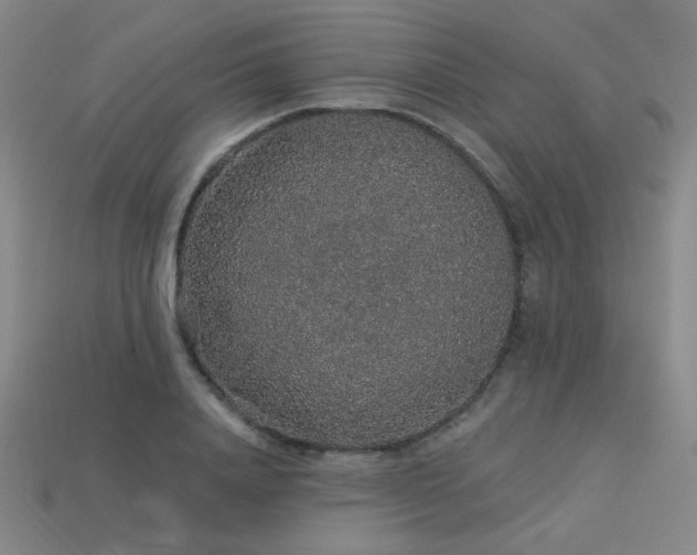 X0000114120840200910051509