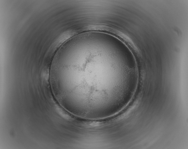 X0000114120841200910051509