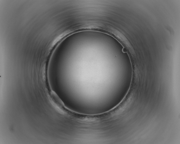 X0000114120842200910051509