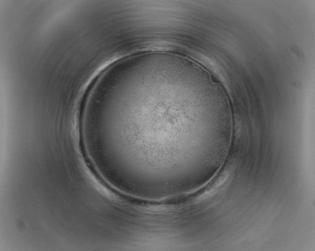 X0000114120843200910051509