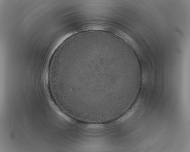 X0000114120844200910051509