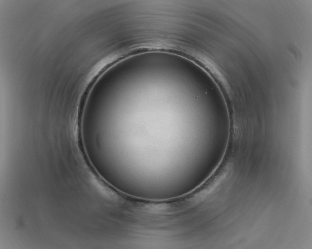 X0000114120845200910051509