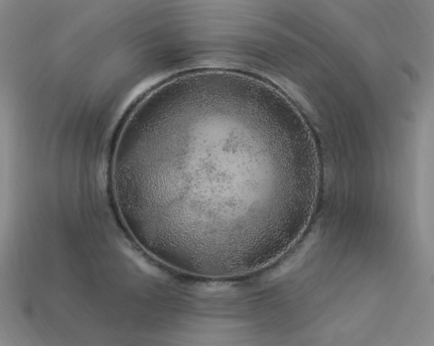 X0000114120846200910051509