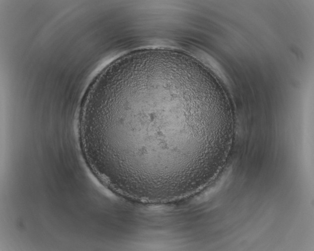 X0000114120847200910051509