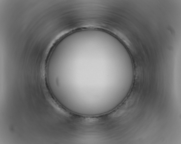 X0000114120848200910051509