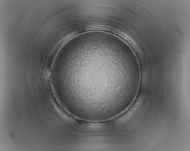 X0000114120849200910051509