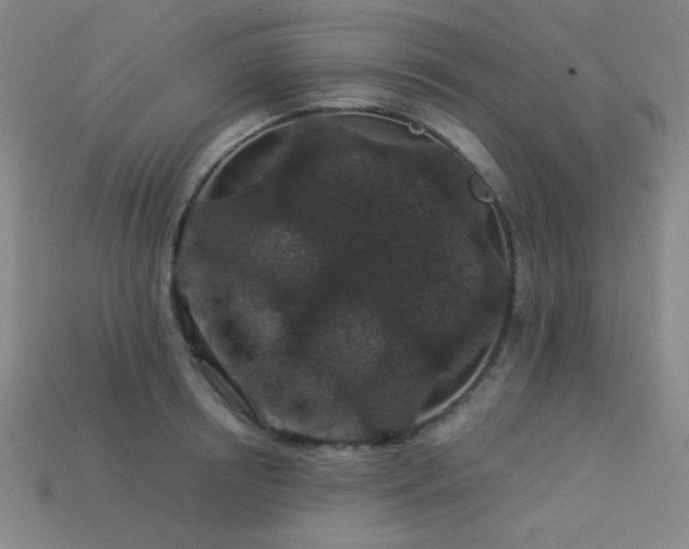 X0000114120850200910051509