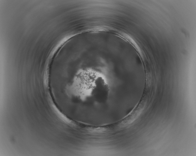 X0000114120851200910051509