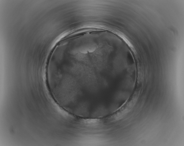 X0000114120853200910051509