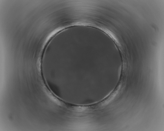 X0000114120854200910051509