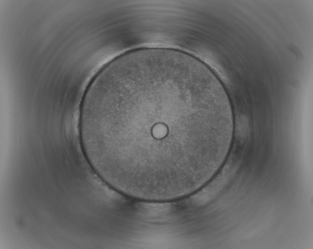 X0000114120856200910051509