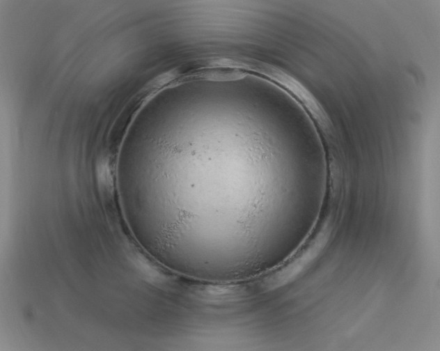 X0000114120857200910051509