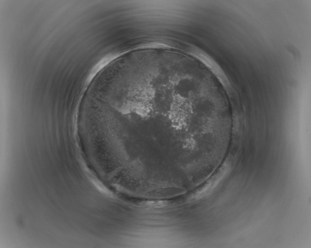 X0000114120858200910051509