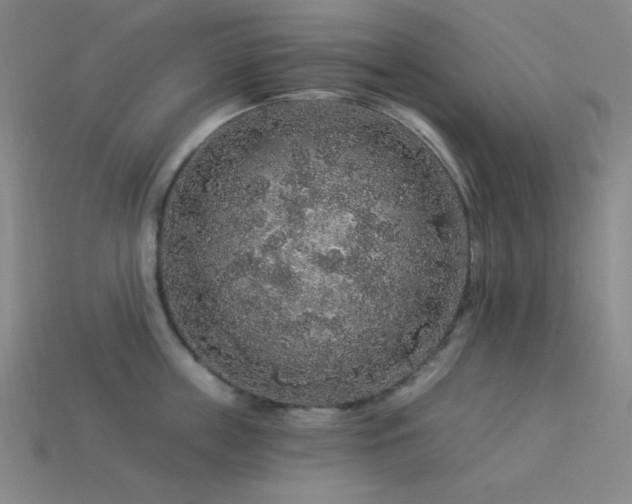 X0000114120859200910051509