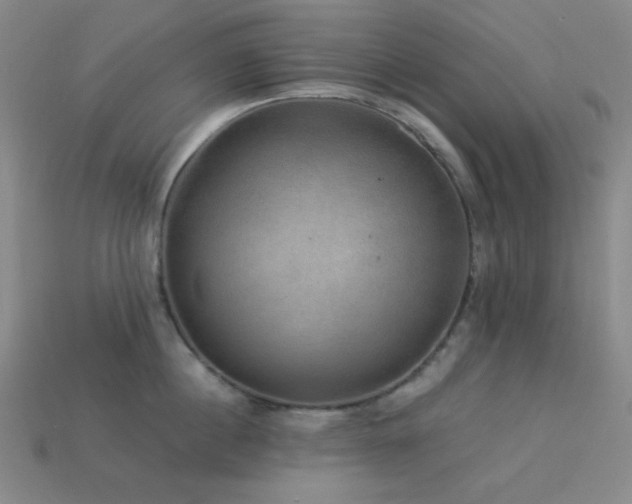 X0000114120860200910051509